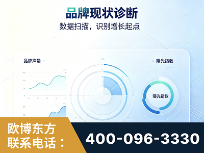 大兴安岭-品牌现状诊断