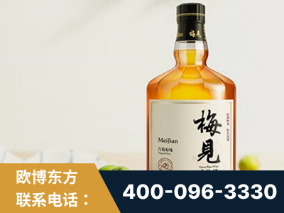 大兴安岭-梅见青梅酒